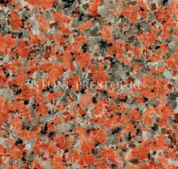 Marple Red (Марпл рэд), фото Купить Marple Red (Марпл рэд) в Димитровграде